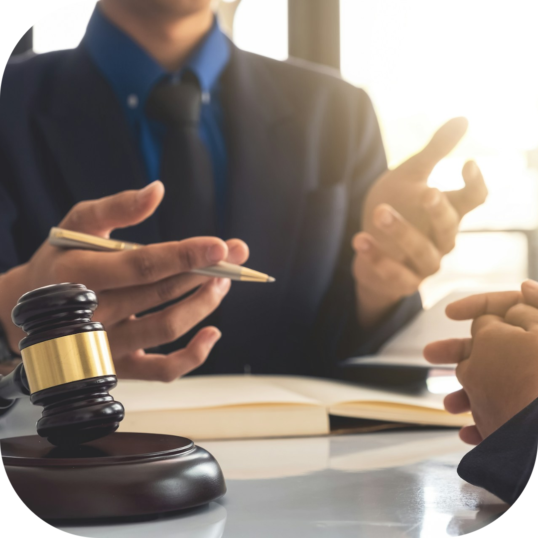 lawyer in a meeting with a corporate CEO